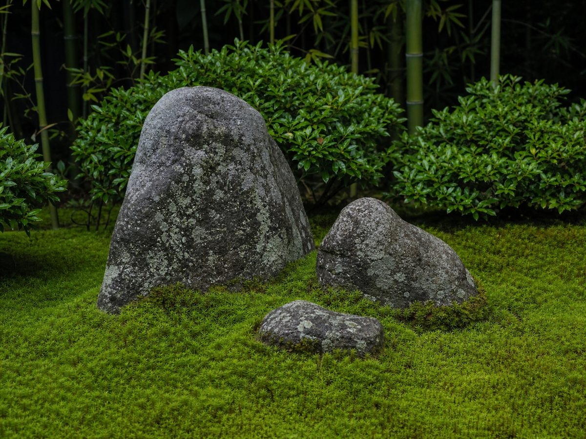 石組みと苔の庭のイメージ